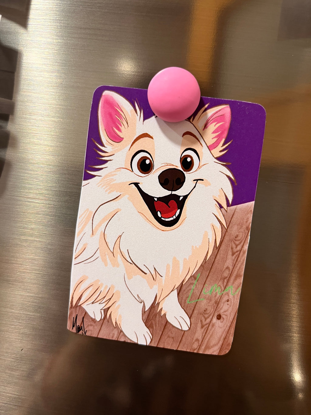 Imán Personalizado Kawaii Mascotas