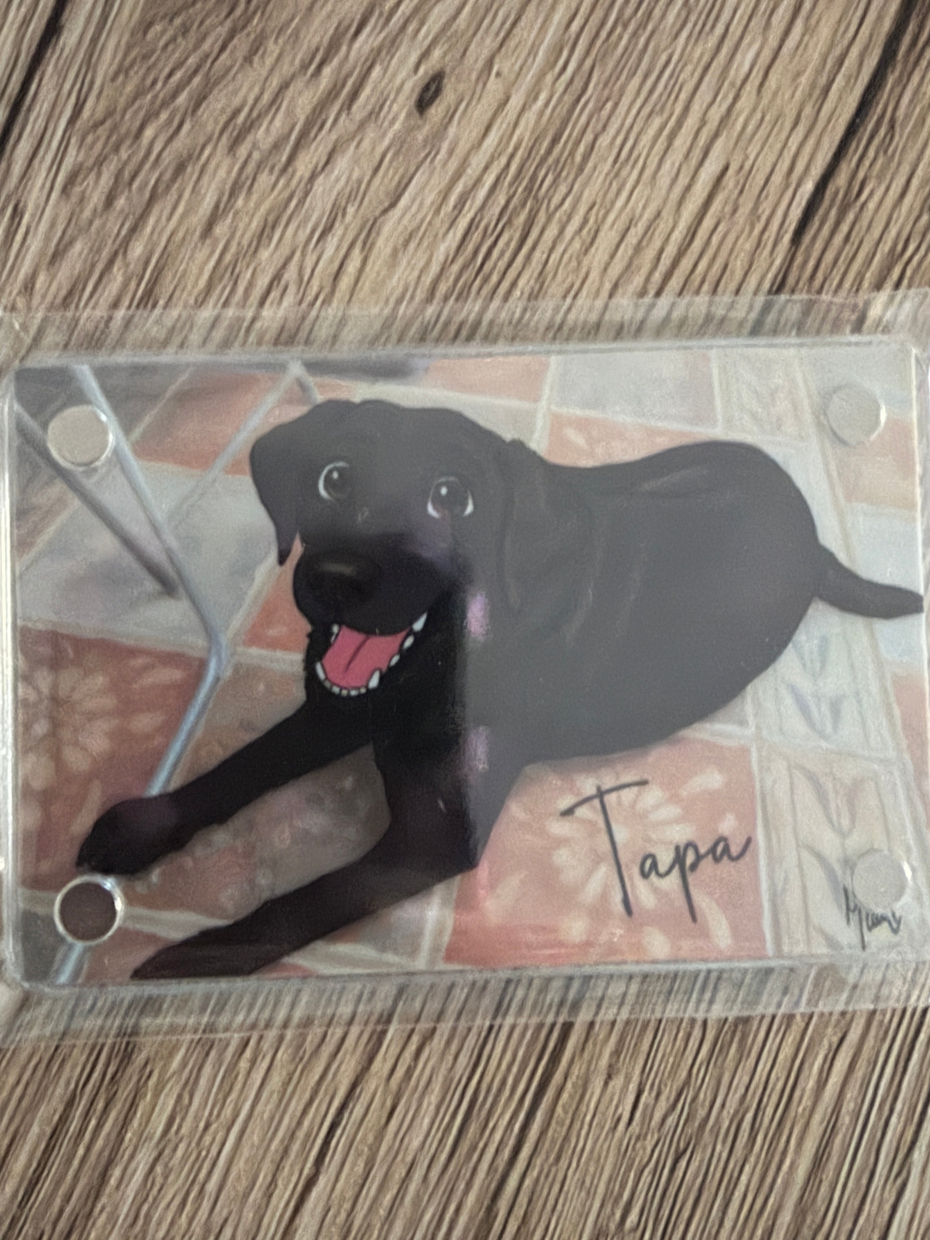 Imán Personalizado Kawaii Mascotas