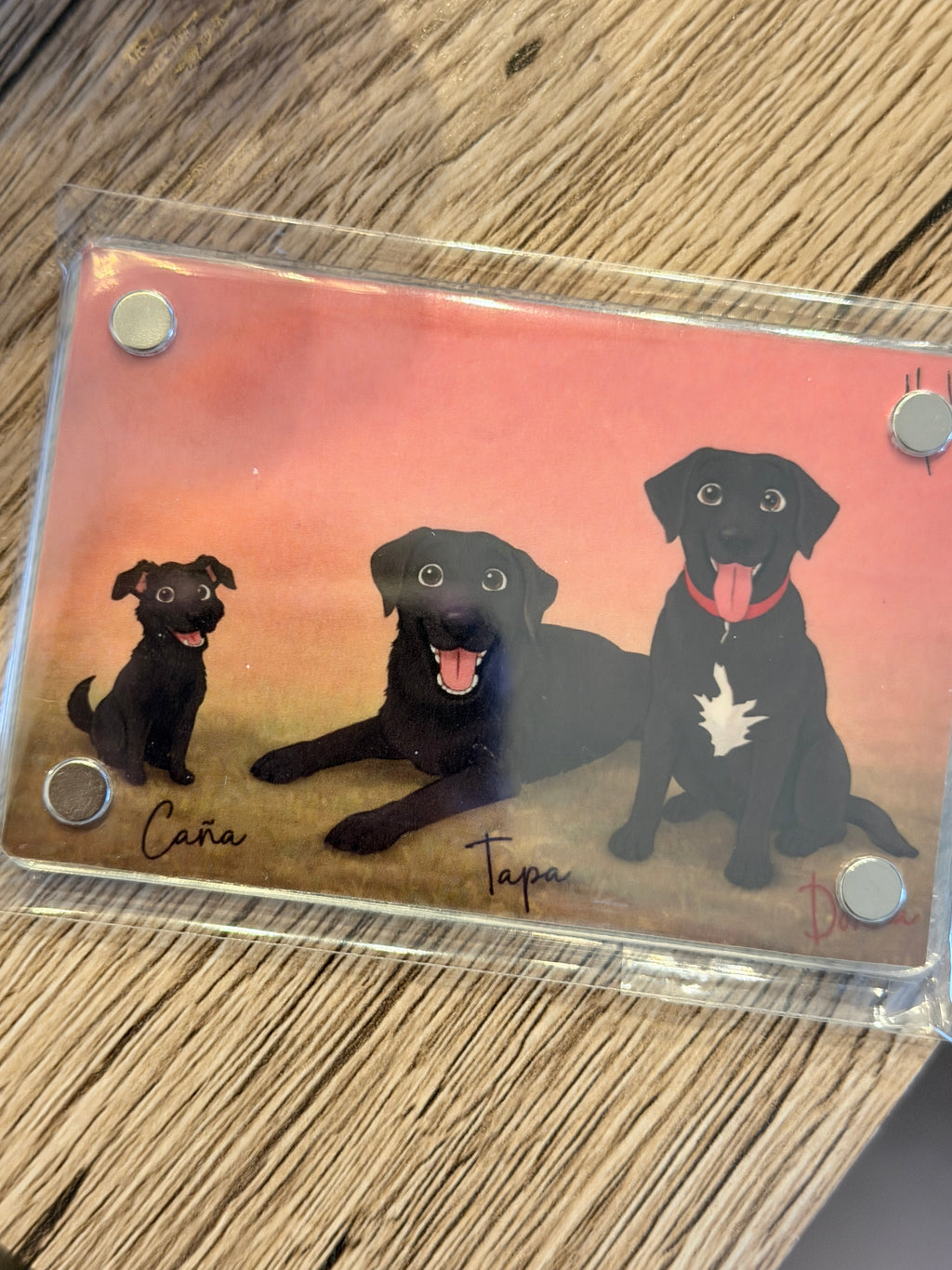 Imán Personalizado Kawaii Mascotas