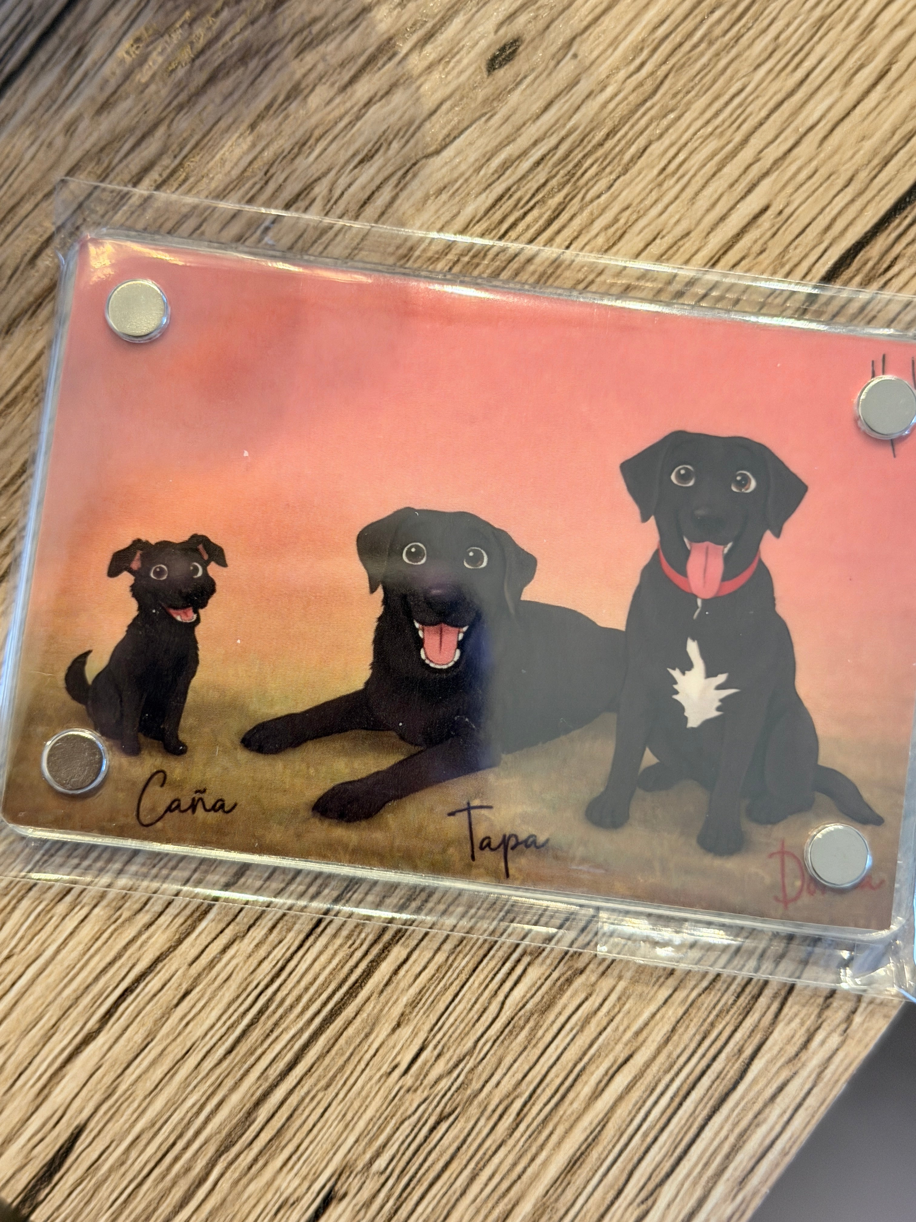 Imán Personalizado Kawaii Mascotas