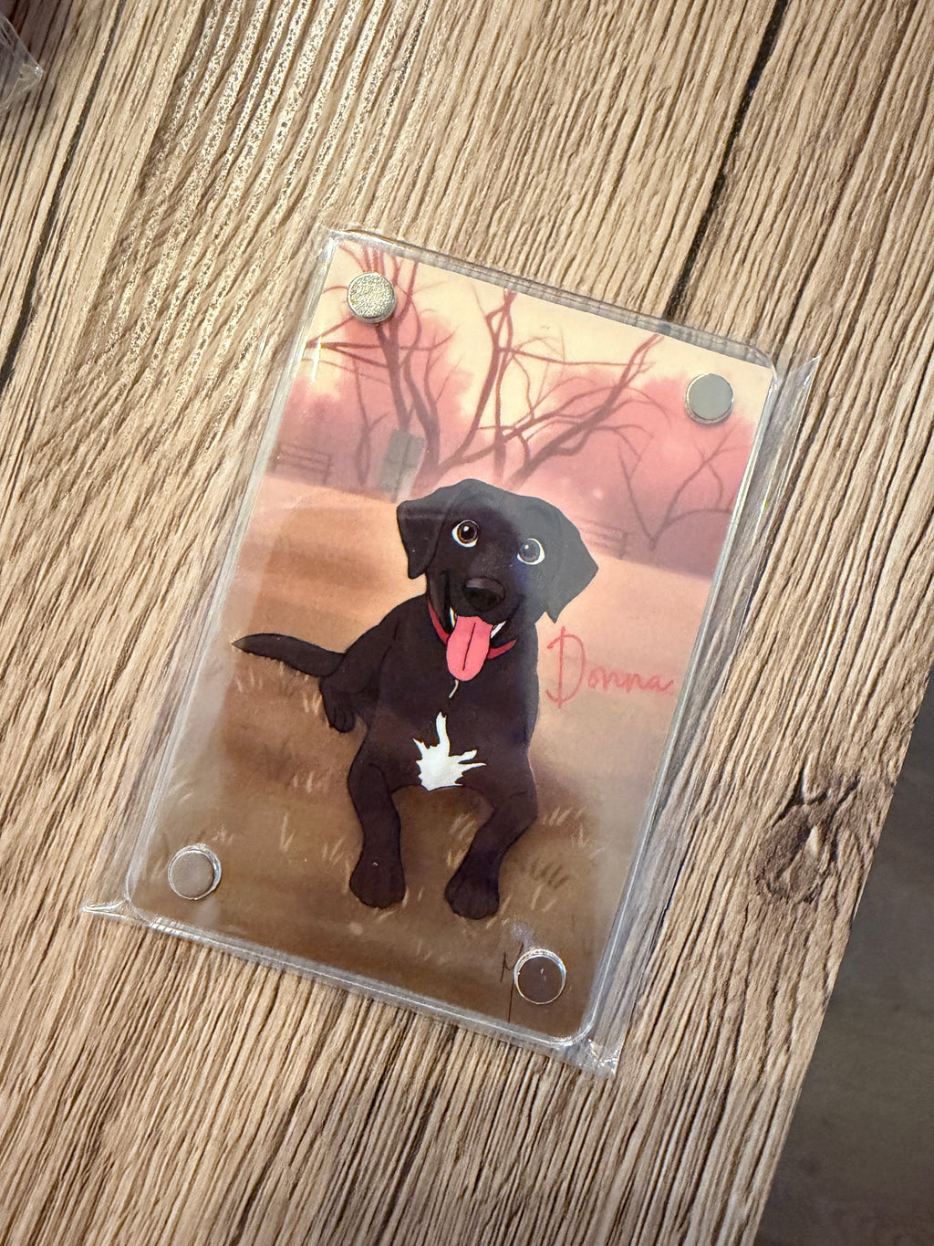 Imán Personalizado Kawaii Mascotas