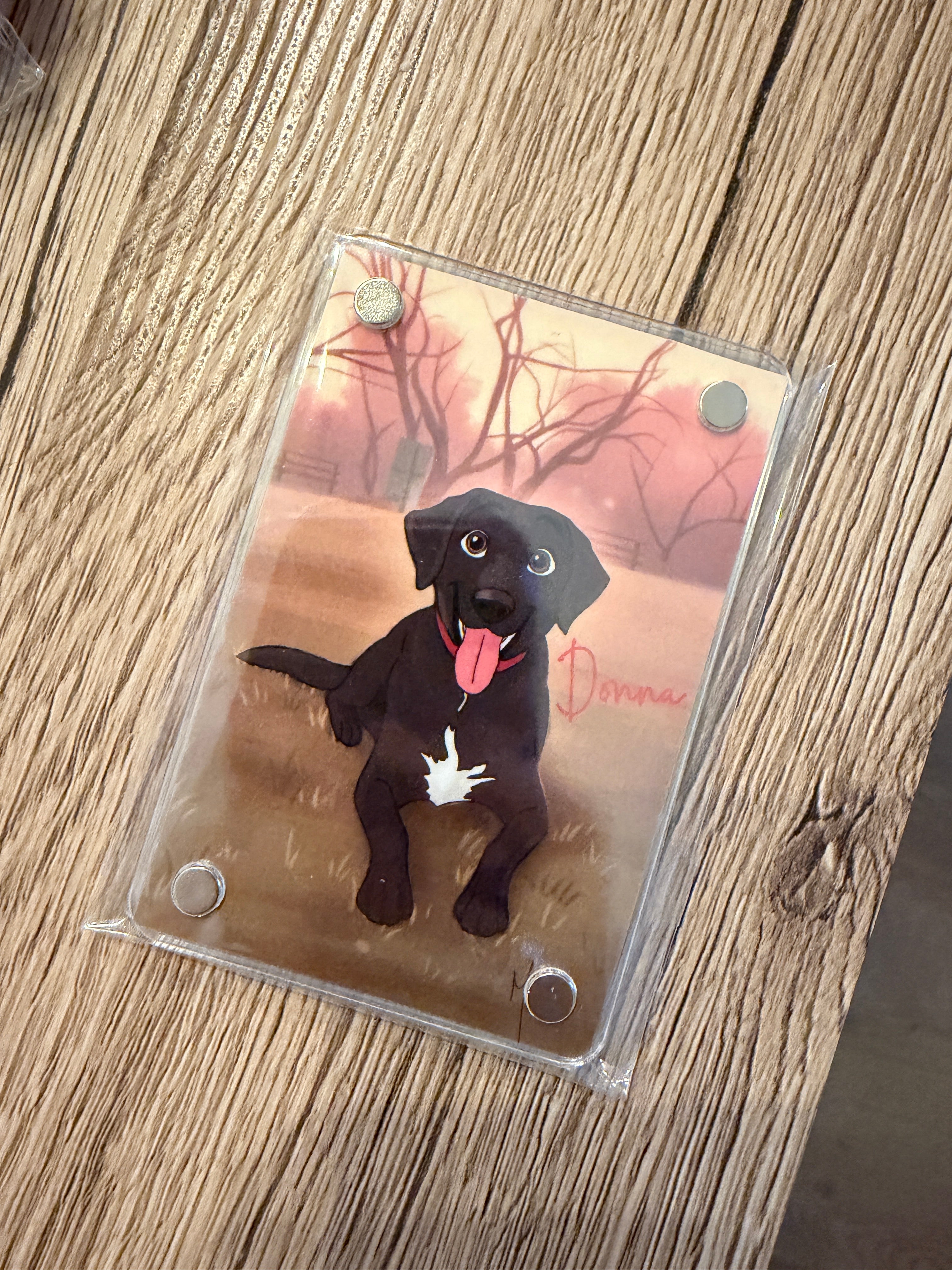 Imán Personalizado Kawaii Mascotas